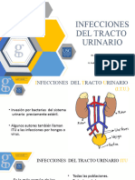 Infeccion de Tracto Urinario 2024-Feb