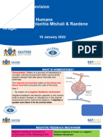 Homeostasis in Humans 19 January 2022