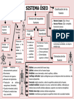 Tema 05 - Sistema Óseo
