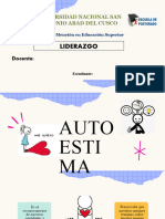 Auto Estim A