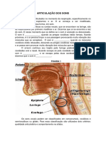 Estudo Dirigido - Articulação Dos Sons