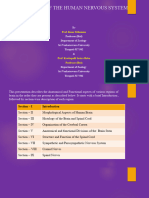 Organization of The Human Nervous System