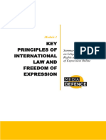 Module 1 Key Principles of International Law and Freedom of Expression