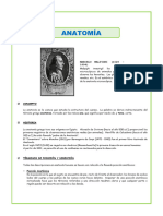 Anatomía - 5° Año