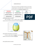 Sistema Articular