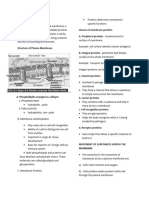 Handout Transport-Mechanism