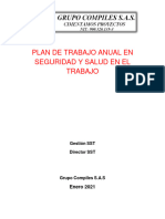 Plan de Trabajo Anual en Seguridad y Salud en El Trabajo