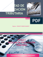 Fiscalizacion Tributaria