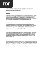 Informe Descriptivo Sobre El Proceso de Cosecha y Poscosecha Del Aguacate en Una Región Productora