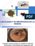 La Higiene y Su Relacion Con Las Plagas