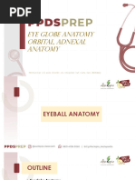 Ocular - Orbit Anatomy Rev