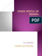 Sonda Vesical de Demora Fabricia