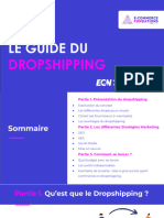 Guide Du Dropshipping