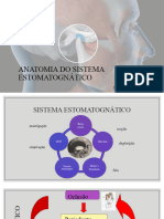 Anatomia Do S.estomatognático