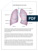 Pneumonia Content PDF