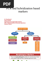 Lecture 7 and 8 PCR and Hybridization Based Markers