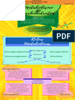 Metabolismo de Carbohidratos