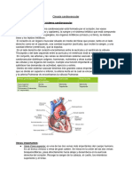 Cirugía Cardiovascular