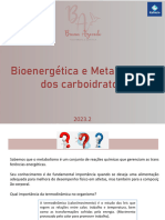 Aula 10 - Bioenergética e Metabolismo de Carboidratos Prof Bruna Azevedo Ponte