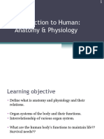 Introduction To Human Anatomy and Physiology