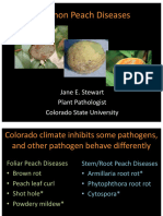 Stewart Peach Diseases WCRC Pomology Field Day 2017