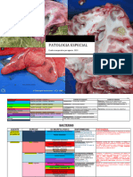 304 - Cuadro Patologia Especial PDF