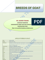 Exotic Breeds of Goat