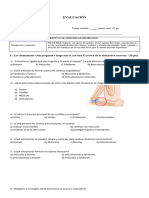 Ciencias Naturales 4° Basico Evaluacion Formativa