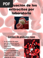 Laboratorio Clinico