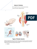 Injury To Tendons