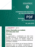 Pat 13 Psele Protocolos de Seguridad 260719