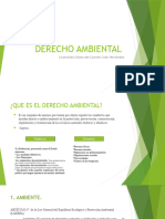 Derecho Ambiental 1 y 2