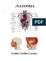 1 - Orga Corpo Hum Sist Nervoso Endocrino e Tegumentar