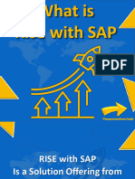 RISE With SAP 1680076738