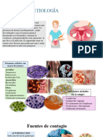 Etiologia Infección Puerperial