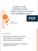 Placenta and Amniotic Fluid