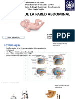 Defectos de Pared Abdominal 