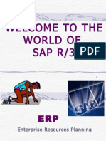 Welcome To The World of Sap R/3