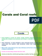 Corals and Classifications