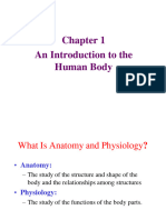 Introduction To Human Body 111111