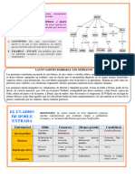 Organizadores Gráficos Ii - 2°