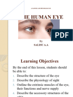 Human Eye