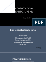 Neurodesarrollo - Funciones Ejecutivas PDF