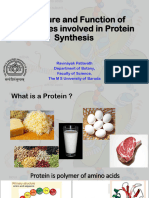 Structure and Function of Organelles Involved in Protein Synthesis