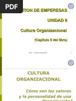 Gestión de Empresas - UNIDAD 6 - Capitulo 5 - Cultura Organizacional