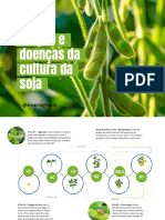 Pragas e Doenças Da Soja