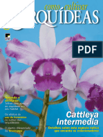 Orquídeas