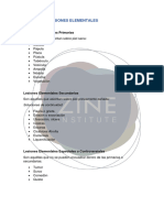 Modulo 6 y 7 Lesiones Elementales 2023