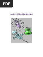 Microorganismos