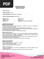 Informe Radiólogo de La Negrita', Canina Arrollada Por Camioneta en Soledad